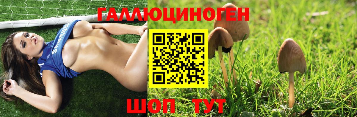 Галлюциногенные грибы ЛСД  Будённовск  Псилоцибиновые грибы Psilocybe 