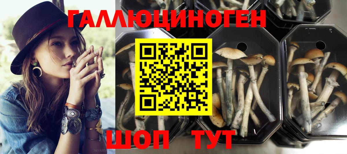 Псилоцибиновые грибы мухоморы Будённовск