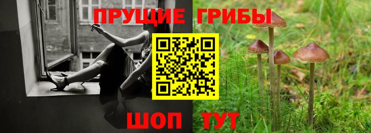 Галлюциногенные грибы GOLDEN TEACHER Будённовск