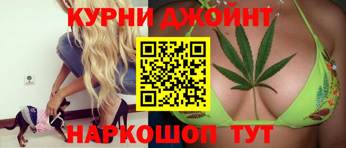 Бошки Шишки Amnesia  Вход с VPN  Бошки Шишки VHQ  Канабис план  Будённовск 